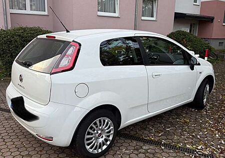 Fiat Punto gebraucht kaufen Fiat Punto Pop