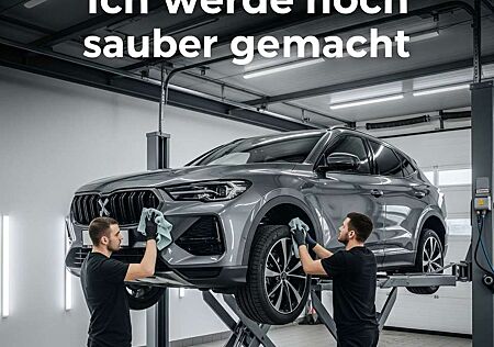 Hyundai Tucson Automatik Kamera Navi AWD
