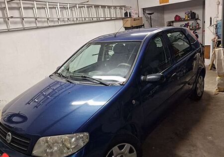 Fiat Punto 1.2