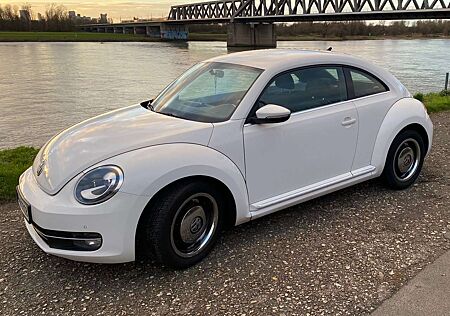 VW Beetle Volkswagen New 1.6