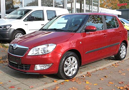 Skoda Fabia Ambition I Hand, Steuerkette u.Service neu