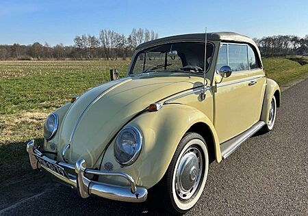VW Käfer Volkswagen cabrio 1966