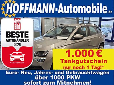 Skoda Karoq Style Mirror-Link,Sitzheizung,PDC,Keyless