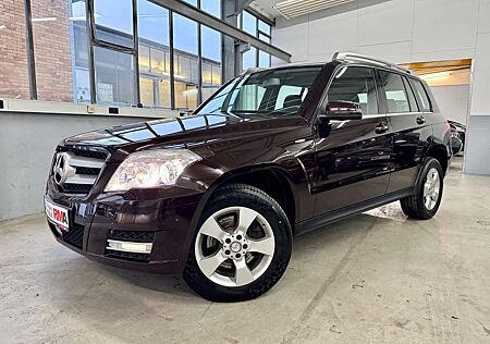 Mercedes-Benz GLK 220 CDI BlueEfficiency 4Matic+BI-XENON+LEDER