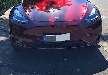 Tesla Model Y RWD