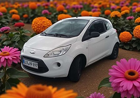 Ford Ka /+ 1.2 Concept