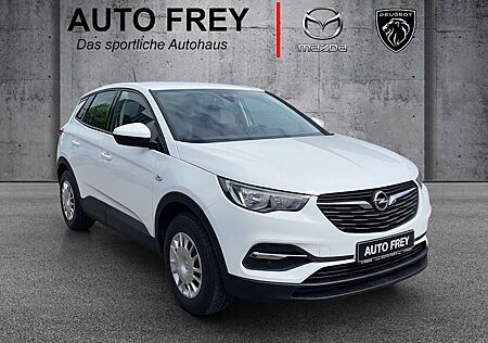 Opel Grandland X 1.5-D Selection+ANHÄNGEKUPPLUNG+SPURHALTEASSITENT+