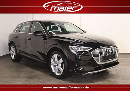 Audi e-tron 50 qu. S line-Luft-Navi-Kamera-LED-SHZ-