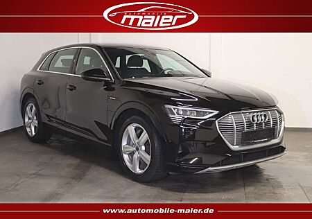 Audi e-tron 50 qu. S line-Luft-Navi-Kamera-LED-SHZ-