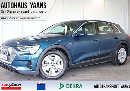 Audi e-tron 50 quattro PRE.SENSE+AID+360°+LED+PANO+19