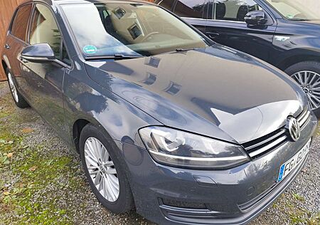 VW Golf Volkswagen VII Diesel 5-Türer 1.6 BlueTDI Cup
