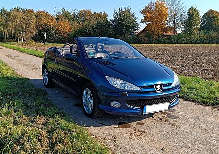 Peugeot 206 +CC+110+Sport