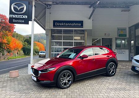 Mazda CX-30 Selection AWD X-180 Automatik Leder