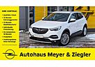 Opel Grandland X Busi. Innov. /SHZ/LHZ/AHVZ/LED/KLIMA/NAVI/Park&Go