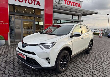 Toyota RAV 4 Team D