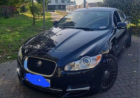 Jaguar XF 3.0 V6 D - 240 FAP Luxe Premium A