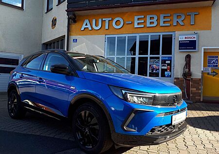 Opel Grandland 1.2 DI GS Line, Lenk-/Sitzhzg., Rückfahrkamera