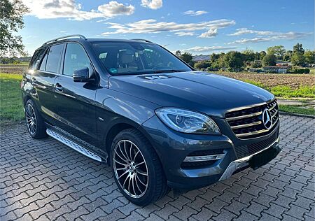 Mercedes-Benz ML 250 gebraucht kaufen Mercedes-Benz ML 250 CDI BlueTec (166.004)