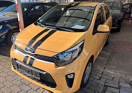 Kia Picanto gebraucht kaufen Kia Picanto Edition 7 1.2 Benzin