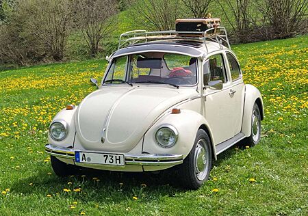 VW Käfer Volkswagen 1303