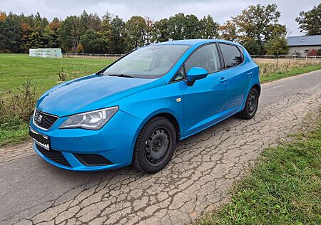 Seat Ibiza Style
