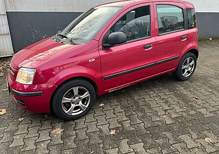 Fiat Panda 1.2 8V Dynamic Rentn 1.Hd Alu S*Heft Tüv