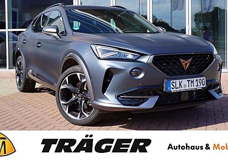 Cupra Formentor 2.0 TSI 4Drive 7-DSG Leder,Kamera,ACC