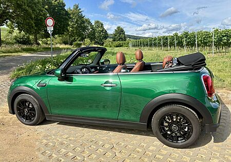 Mini One Cabrio Classic Trim mit Classic Plus Paket