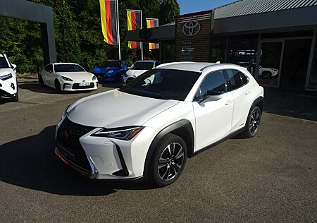 Lexus UX 250h 250h