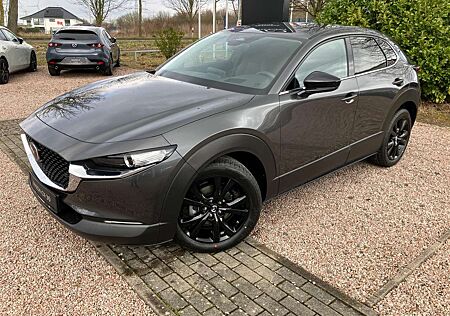 Mazda CX-30 2.5L G 140PS 6AT Homura TAGESZULASSUNG