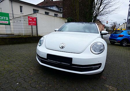 VW Beetle Volkswagen Cup GARANTIE