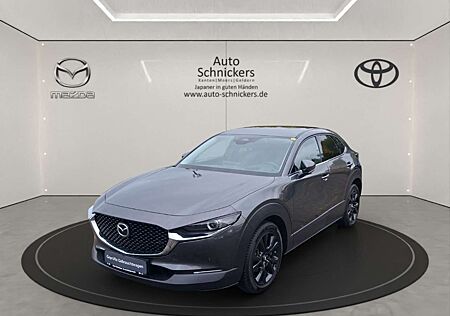 Mazda CX-30 SKYACTIV-G EXCLUSIVE-LINE+DESIGN-P+DRI-AS