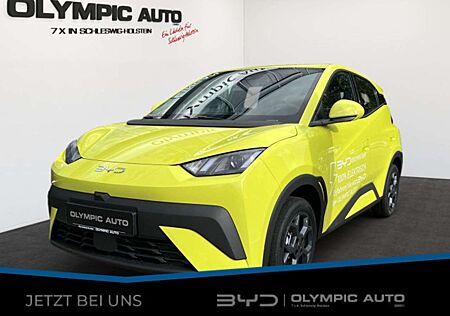 BYD DOLPHIN Surf Boost 43kWh KAMERA CARPLAY NAVI ALU