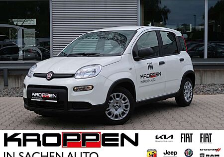 Fiat Panda Pandina 1,0 GSE Klimaanlage PDC M+S
