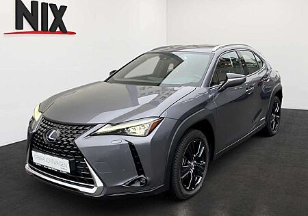 Lexus UX 250h 2.0 Hybrid Luxury Line LED