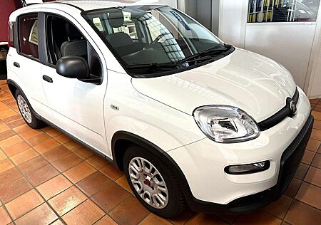 Fiat Panda Base 1.0 GSE Hybrid