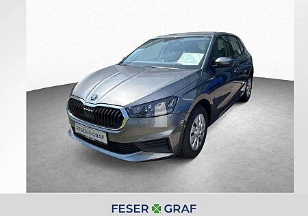 Skoda Fabia Active 1.0 TSI AHK*Sitzheiz