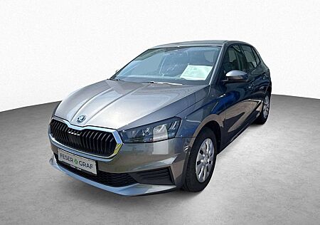 Skoda Fabia Active 1.0 TSI AHK*Sitzheiz
