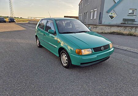 VW Polo Volkswagen 60 Servo Colour Concept