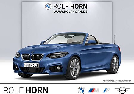 BMW 230 i Cabrio M Sportpaket Navi RKam h/k LED Klima
