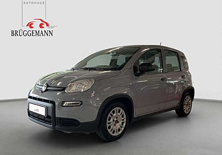 Fiat Panda 1.0 GSE Hybrid + Techpaket