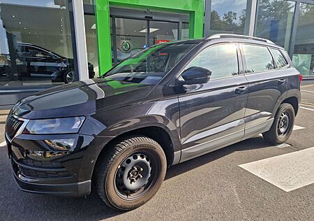 Skoda Karoq incl. Bluetooth + Einparkhilfe