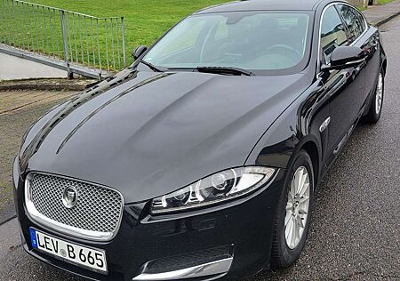 Jaguar XF 2.2 D*XENON*LEDER*NAVI*TÜV*SERVICE*RÜKAM*