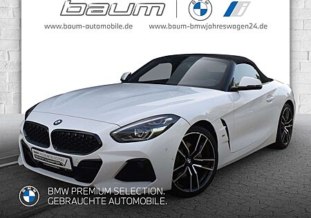 BMW Z4 sDrive30i M Sport HiFi DAB WLAN Tempomat Shz