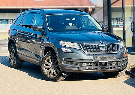 Skoda Kodiaq Sitzheizung PDC