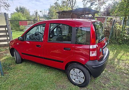 Fiat Panda 1.1 Ltr. TÜV bis 01.2026..