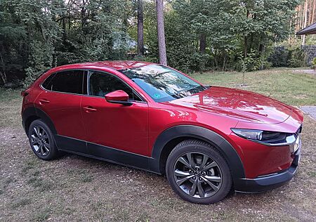 Mazda CX-30 SKYACTIV-X 2.0 M-Hybrid AWD SELECTION