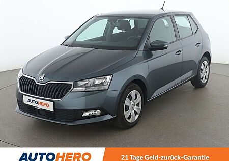 Skoda Fabia 1.0 TSI Ambition*TEMPO*SHZ*KLIMA*TOUCH*