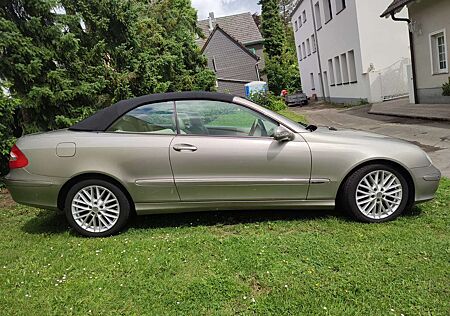 Mercedes-Benz CLK 240 CLK-Klasse Cabrio Cabrio Elegance