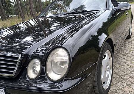 Mercedes-Benz CLK 320 Cabrio Elegance